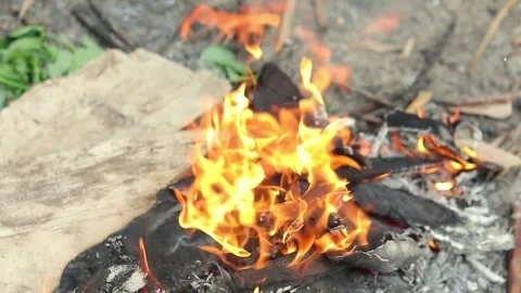 Close up view of a campfire in the field during the day Stock Footage 333720904
