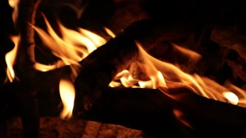 Close-up View of Campfire Stock Footage 131197522