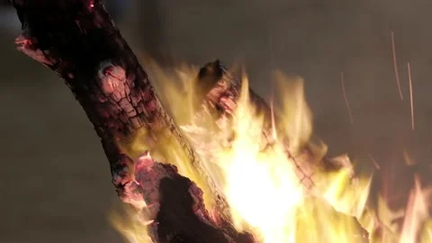 Close up view of a camping fire Stock Footage 132055252