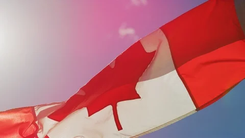 Close up view of a Canadian flag Stock Footage 99922246