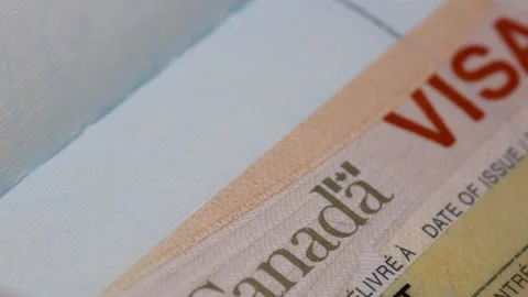 Close up view of Canadian visa page in a passport, travel concept. Video stock 329659807