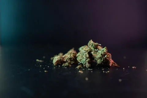 Close-up View of Cannabis Buds on a Dark Surface With Soft Neon Lighting Photos