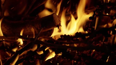 Close-up view capturing the intense orange and yellow flames engulfing dry twigs Vídeos de archivo 312509413