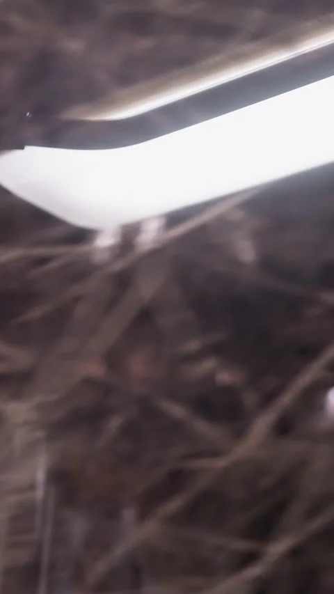 Close View of a Car Interior Light in Motion Stock Footage 310334180