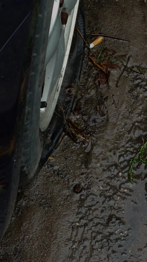 Close view of car wheel beside wet pavement covered with rainwater, mud, leaves Stock Footage 346558733