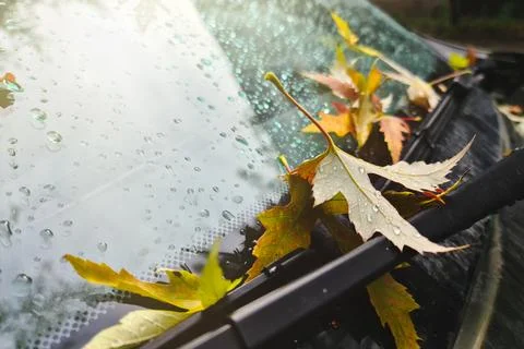 Close up view of car window covered with raindrops and autumn leaves Stock Photos
