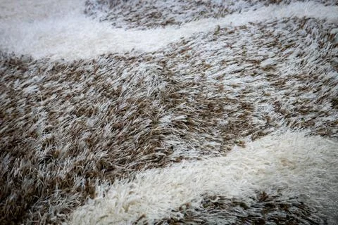 Close up view of carpet. Wall-to-wall carpeting background. Stock Photos