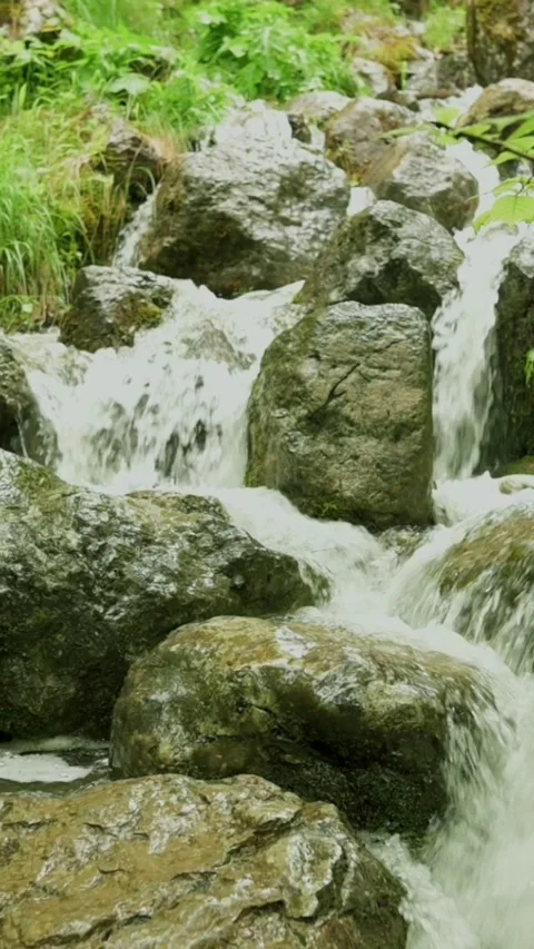 A close-up view of a cascading stream flowing over mossy rocks in Tirol, Austria Vídeo Stock 287318289
