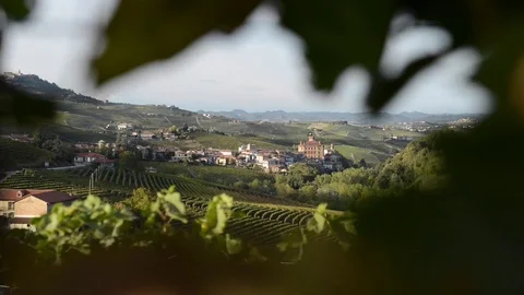 Close up view on the castle of Barolo through the vineyards Stock Footage 81045341