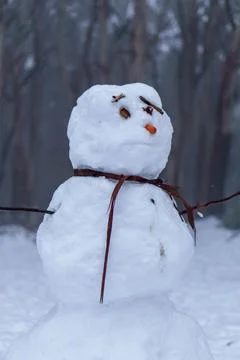 Close up view of a charming snowman featuring a carrot nose, twig arms, and.. Stock Photos