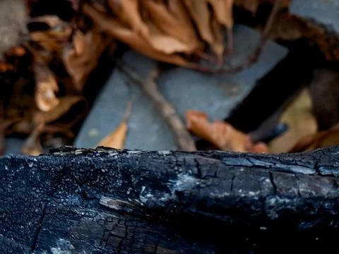 Close up view of charred charcoal log with burnt wood texture and backgroun.. Stock Photos