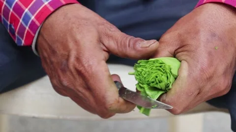 Close up view of chef hands cutting green spinach Stock Footage 150348015