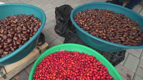Close-up view of chestnut counter sold on the street Stock Footage 147175184