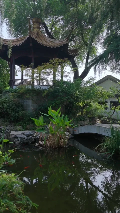 Close View Of A Chinese Pavilion Above A Pond With Ornamental Fish Stock Footage 346385229