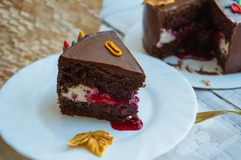 Close up view of chocolate cake slice on white plate Stock Photos