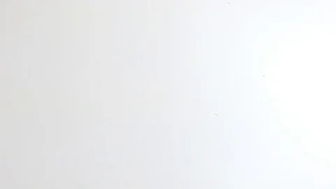 Close-up View of Chocolate Man Palm Hand Print on white background Stock Footage 72427411