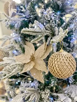 Close up view of a Christmas tree background. copy space Stock Photos