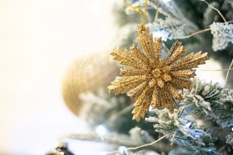 Close up view of a Christmas tree background. copy space Stock Photos