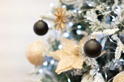 Close up view of a Christmas tree background. copy space Stock Photos