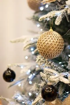 Close up view of a Christmas tree background. copy space Stock Photos