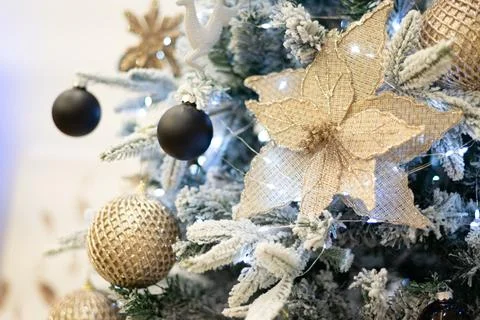Close up view of a Christmas tree background. copy space Stock Photos