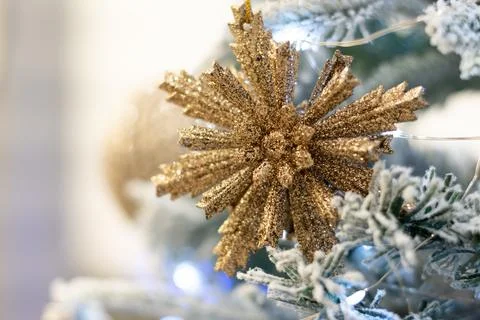 Close up view of a Christmas tree background. copy space Stock Photos