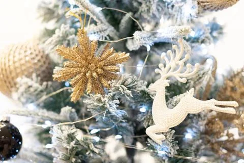 Close up view of a Christmas tree background. copy space Stock Photos