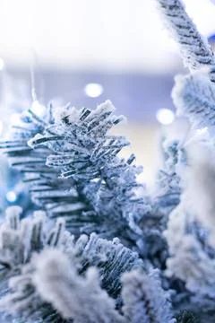 Close up view of a Christmas tree background. copy space Stock Photos