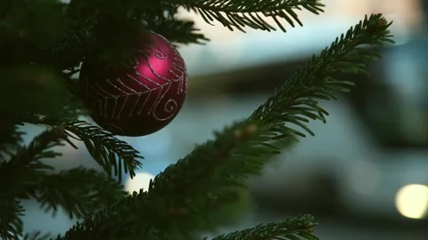 Close-up view Christmas tree standing by city road Stock Footage 295435097