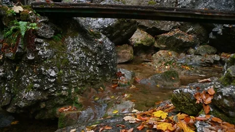 Close up view of clean and pristine natural pool in nature Stock Footage 169369838