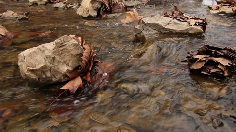 Close-up View of a Clear Flowing Stream Water Stock Footage 45557703