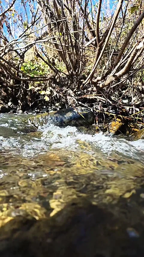 Close-Up View of a Clear Mountain Stream Flowing Over Rocks Stock Footage 348245319