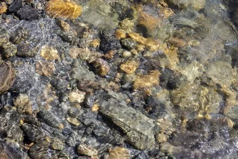 Close up view of clear river with sunlight reflecting on colorful stones an.. Stock Photos