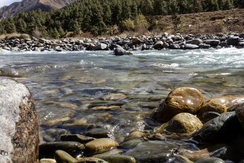 Close up view of clear river with sunlight reflecting on colorful stones an.. Stock Photos