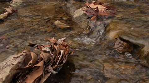 Close-up View of a Clear Stream Water Flowing Over Rocks Stock Footage 45559383