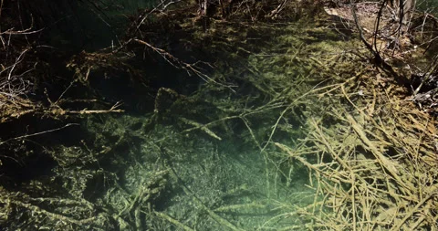 Close view on clear turquoise water of Jiuzhaigou national park puddle Stock-Footage 321234062