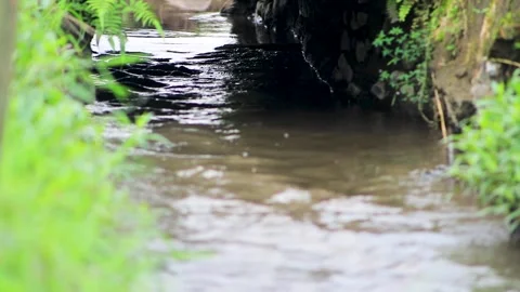 Close Up View of Clear Water Flowing Out from Small Stone Bridge Stock Footage 346444074