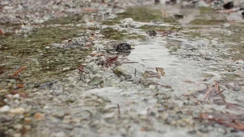 Close up view of clear water of puddle in mountains. Reflection of skies in Stock Footage 142329462