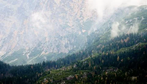 Close up view of the cliffs and the forest in the High Tatras Stock Photos