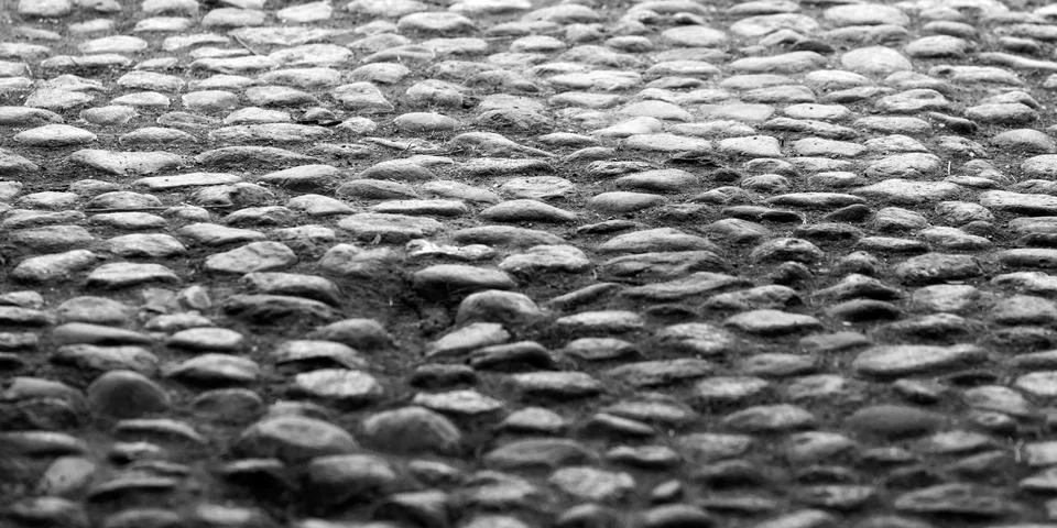 Close-up view of a cobblestone path featuring round, smooth stones, black a.. Photos