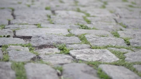 Close view of cobblestone path with grass growing in between stones Stock Footage 345475326