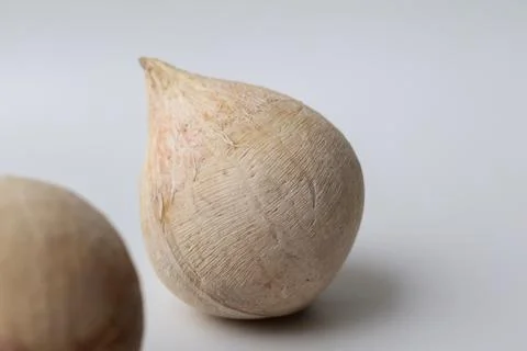Close Up view of a coconut on a white background Foto stock