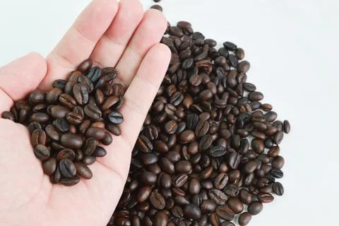 Close up view of coffee bean brown roasted. Selective focus Stock Photos