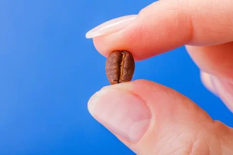 Close view of coffee bean held between fingers Stock Photos