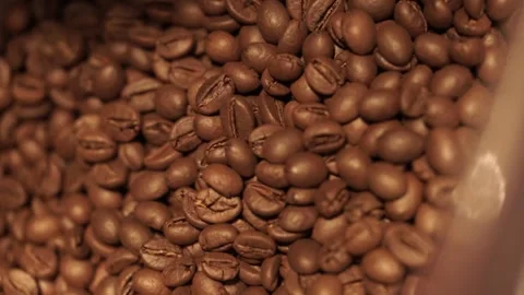Close up view of coffee beans after roasting Stock Footage 259794033