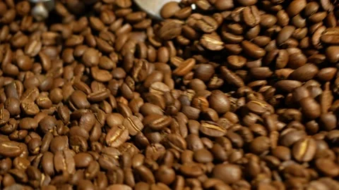 Close up view coffee beans mixing after roasting Video stock 143869664