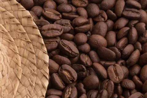 Close-up view of coffee beans with straw on the side Foto stock