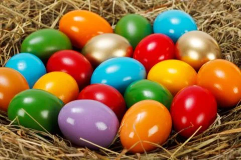 Close view of colorful easter eggs in nest Stock Photos