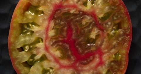Close-up view of a colorful tomato slice. Video stock 284085700