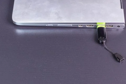 Close up view of  connecting  usb flash drive  to silver notebook computer. 스톡 사진